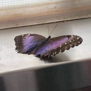 Meet your Posher, Heidi